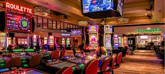 5956 bet 5956 bet